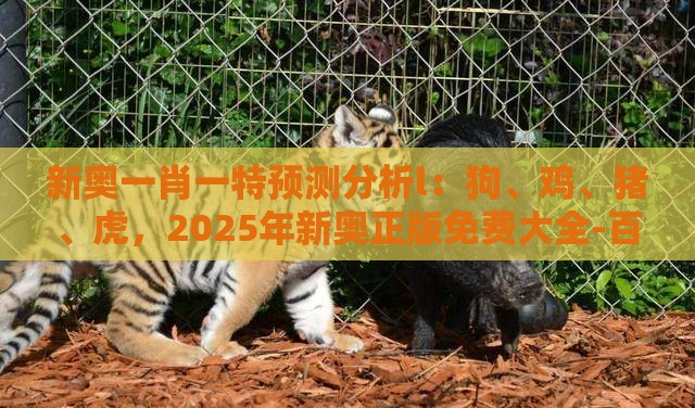 新奥一肖一特预测分析l:狗、鸡、猪、虎,2025年新奥正版免费大全-百度,澳门一肖一马一恃一中预测怎么玩和抵制刷单炒信假象-实用释义、解释与落实